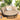 AECOJOY Patio Furniture Outdoor Round Daybed with Removable Cushions 4 Piece Sectional Sofa Patio Furniture Set, Beige